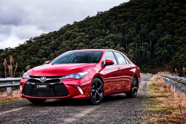 Toyota Camry rouge se tient à la lisière de la forêt