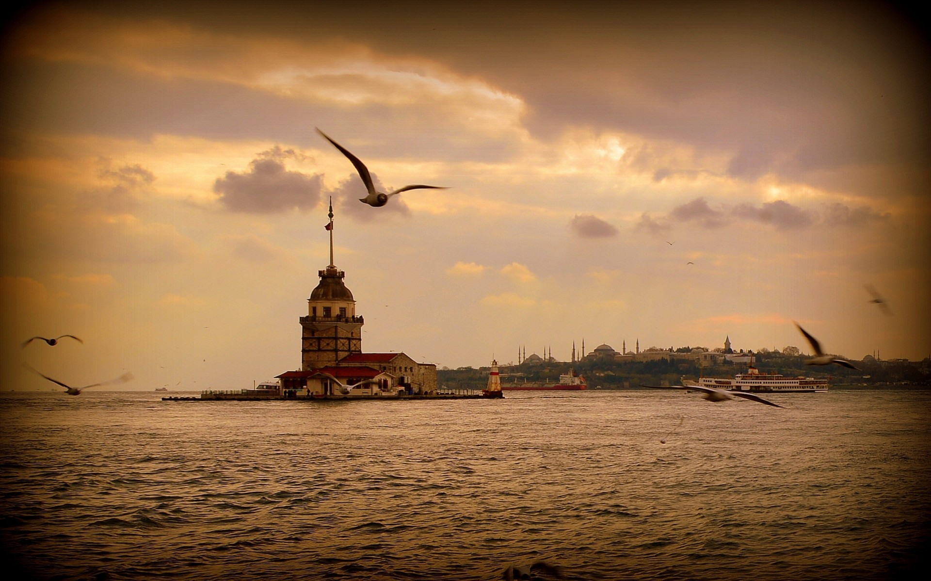 landscape sea gulls istanbul sunset