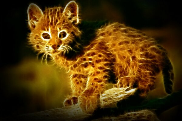 Cute red kitten, future predator