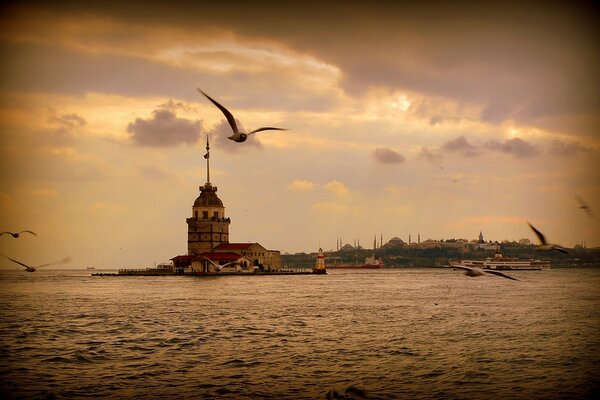 Sunset on the sea, seagulls flying, a building in the distance