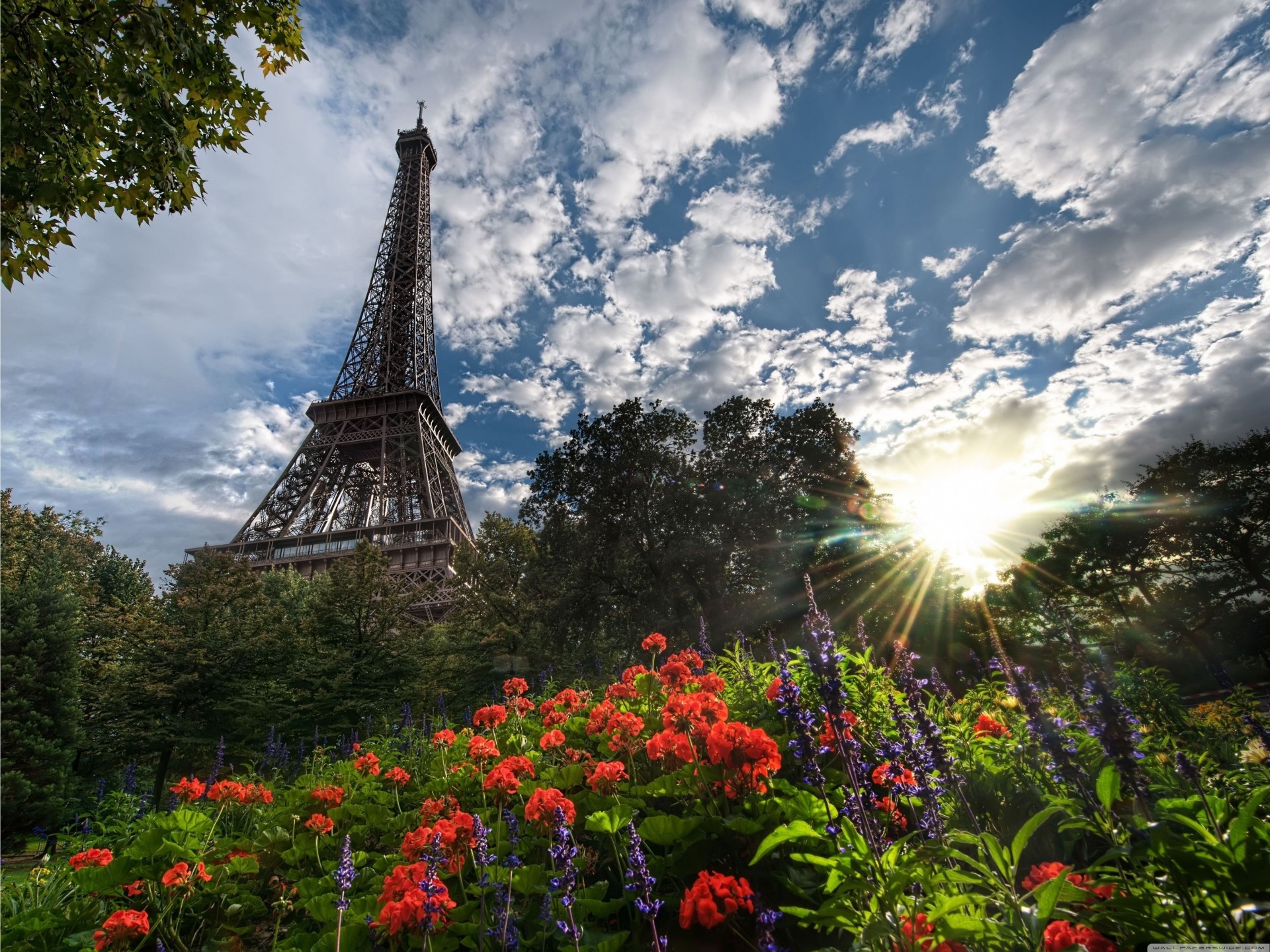 eiffel parco torre vista