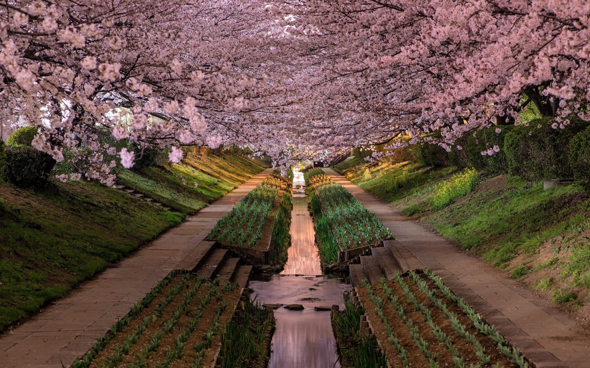 ville parc sakura préfecture de kanagawa japon