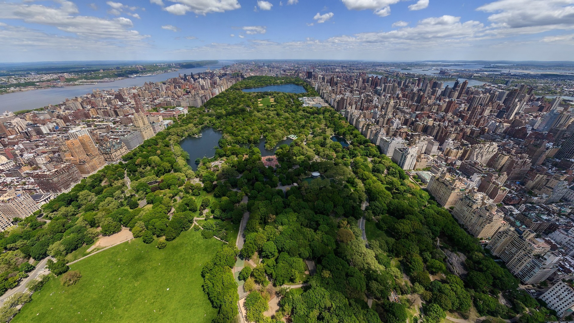 mig-15 árbol nueva york gris ciudad