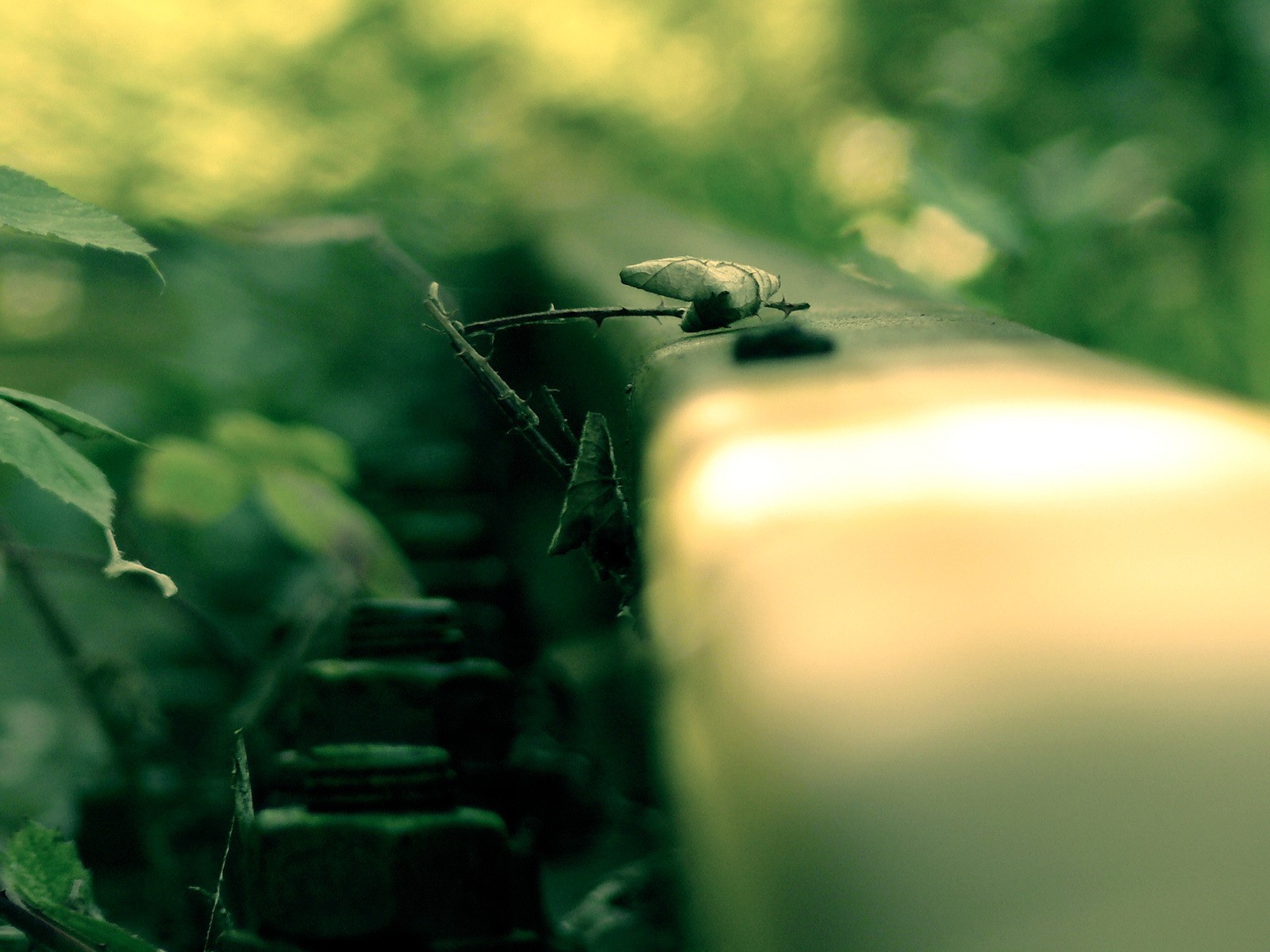 chemin rails prise de vue macro