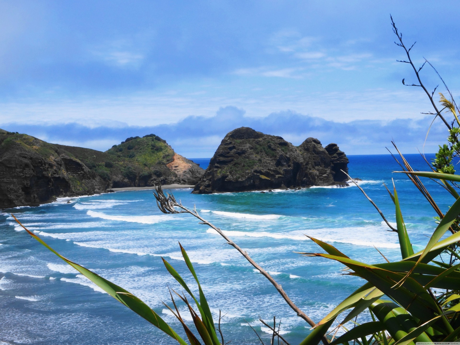 landschaft schönheit natur strand sonnig blau hintergrund landschaften oceanscape neuseeland