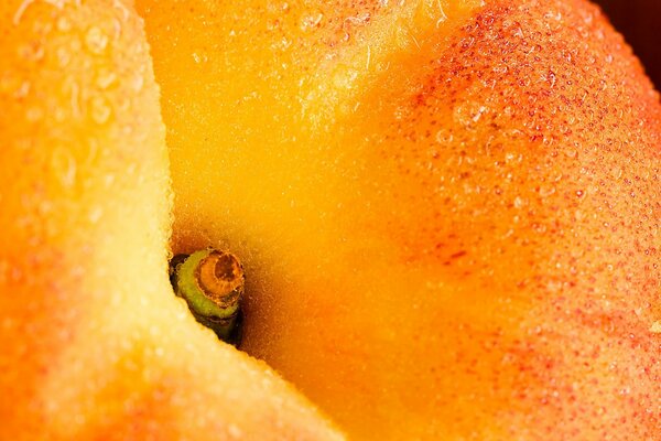 Ripe orange peach is close