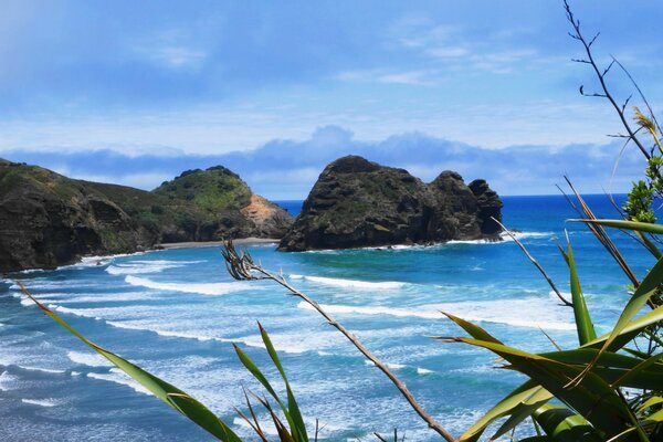 Elegante paisaje de playa en Nueva Zelanda