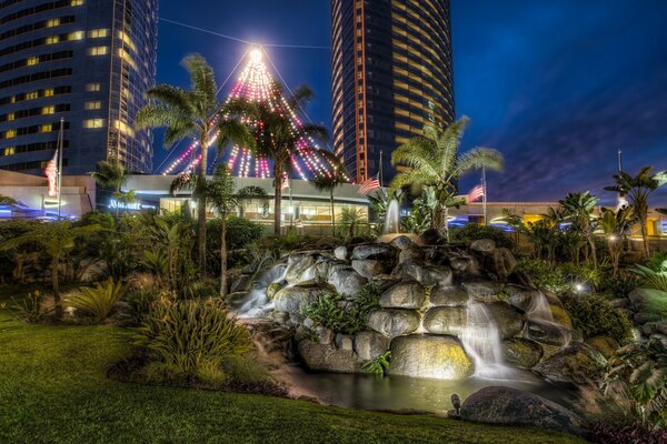 California at night with palm trees by the rocks