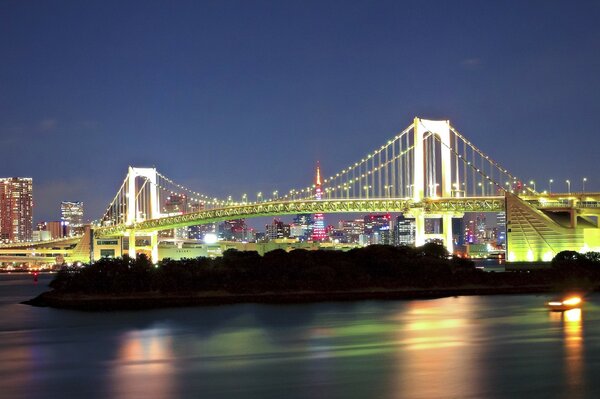 Japón está por delante del planeta. La ciudad no duerme por la noche