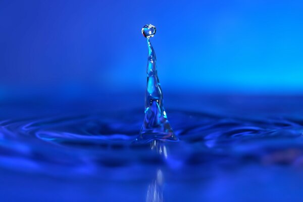 Detente un momento, una gota de agua azul cae y rebota de nuevo levantando una columna de agua