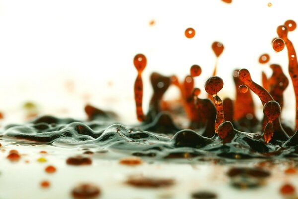 Danse des gouttes rouges sur une surface blanche