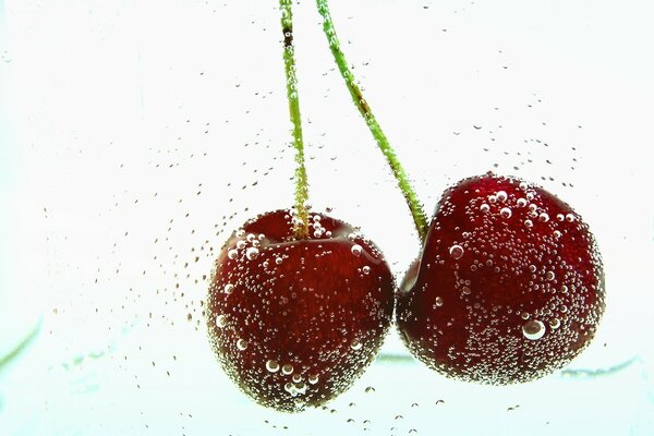 Reife Kirsche im Wasser. Sprudelndes Wasser in der Nähe von Beeren