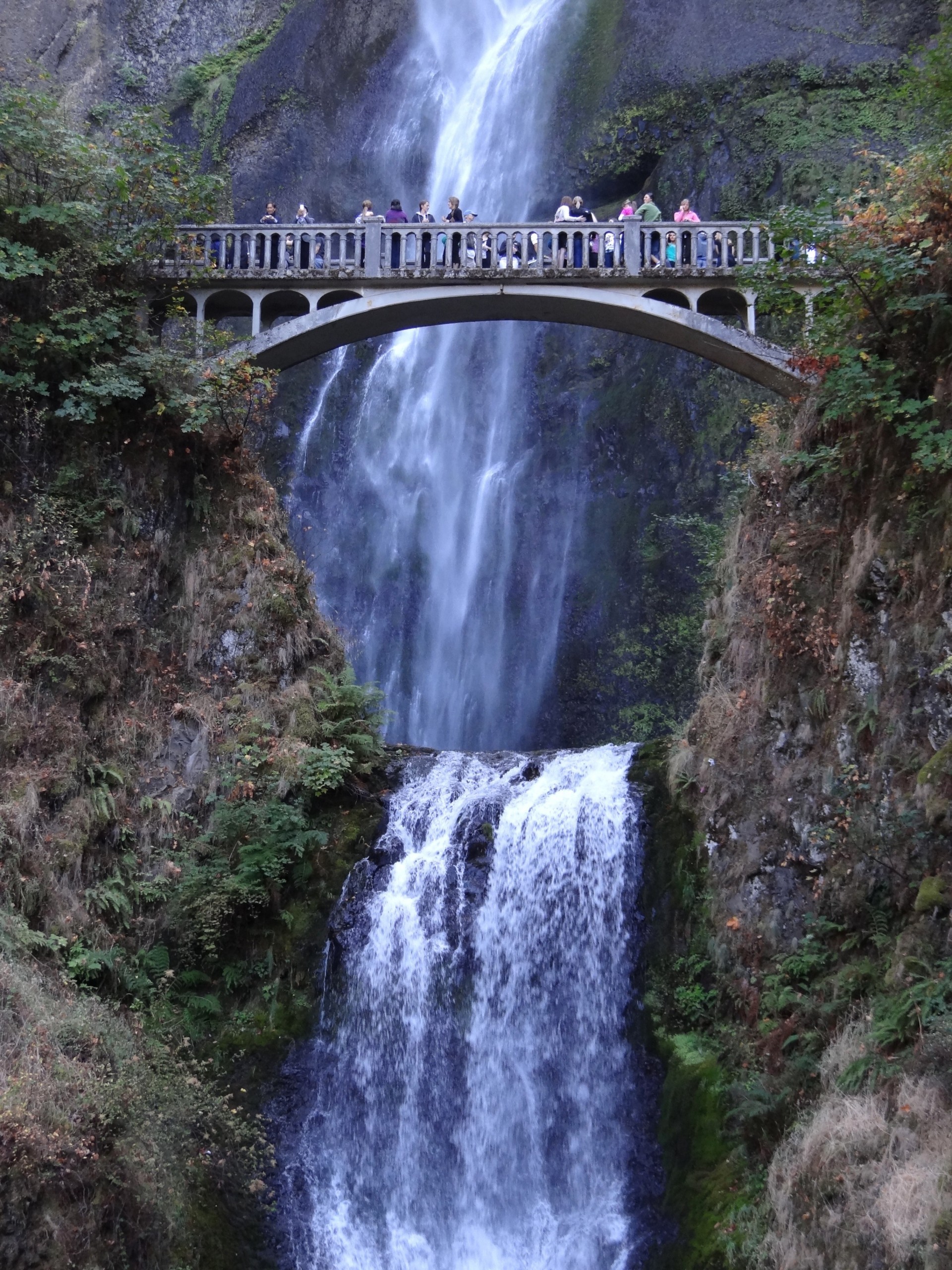 cascada vegetación arco puente agua belleza montañas cascada multnomah