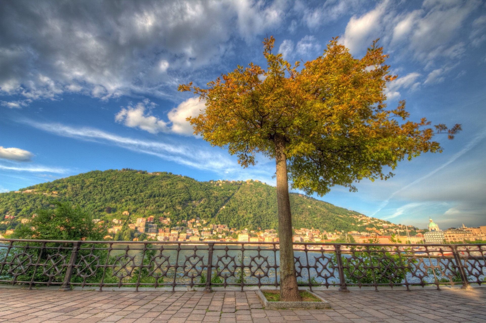 italia lombardía árbol lago lago de como paseo marítimo como