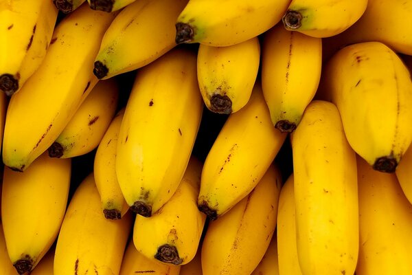 Bright yellow bananas close-up