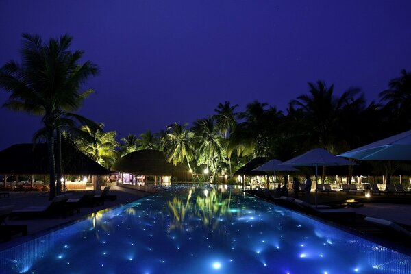 Night photo of a pool with palm trees