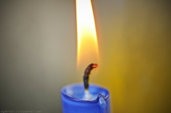 A bright blue candle with a lit wick