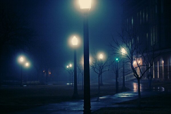 Die Nacht. Die Straße. Laternenlicht