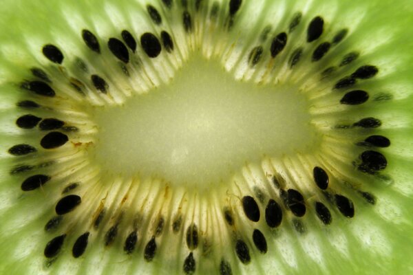 Kiwi cut with bones