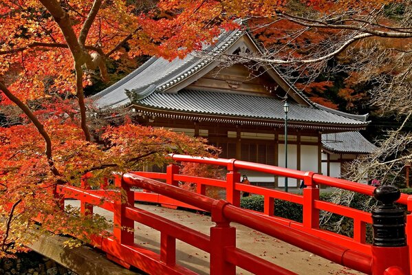 Ein japanischer Tempel in der Mitte der orangefarbenen Ahornbäume. In der Nähe der Brücke