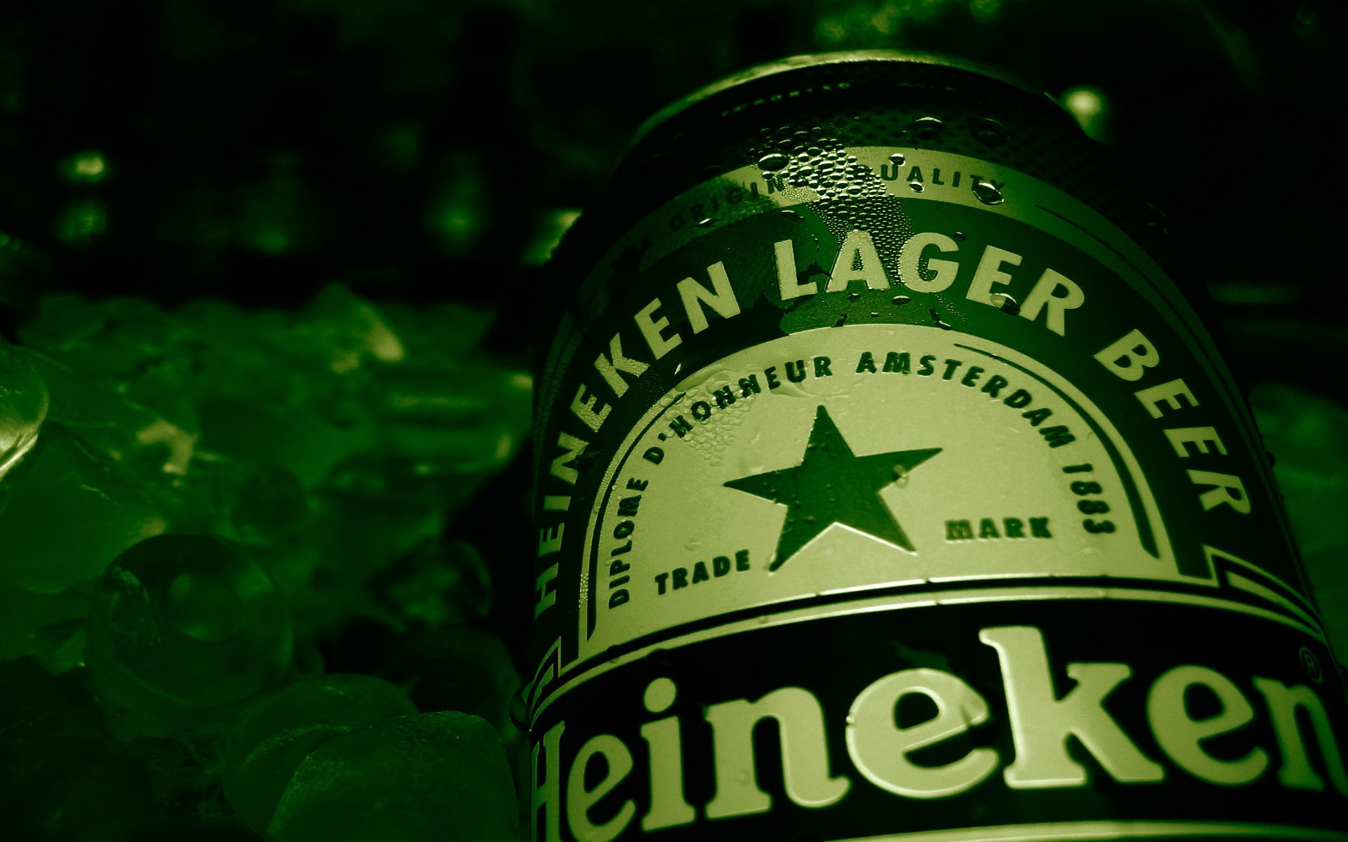 heineken birra bottiglia verde