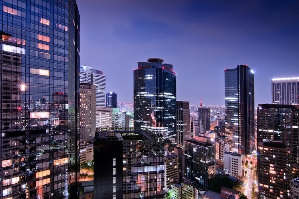 Tokyo metropolis in Japan at night