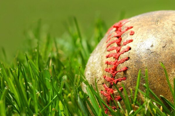 An old ball with a red seam is lying on the grass