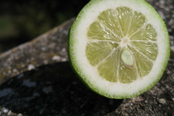 Una fetta di lime giace su una pietra