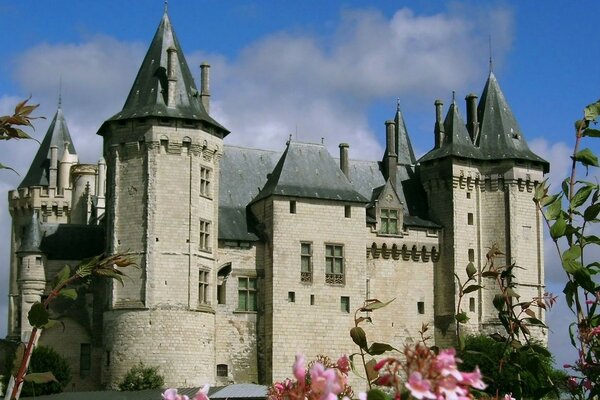 Le château gris de Neuchschwanstein doit être rénové