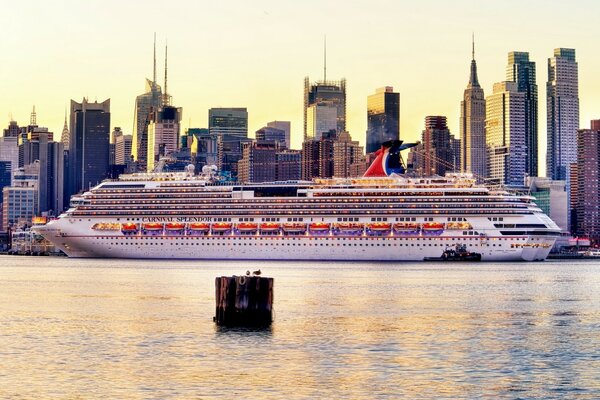 Fodera sullo sfondo dei grattacieli di New York