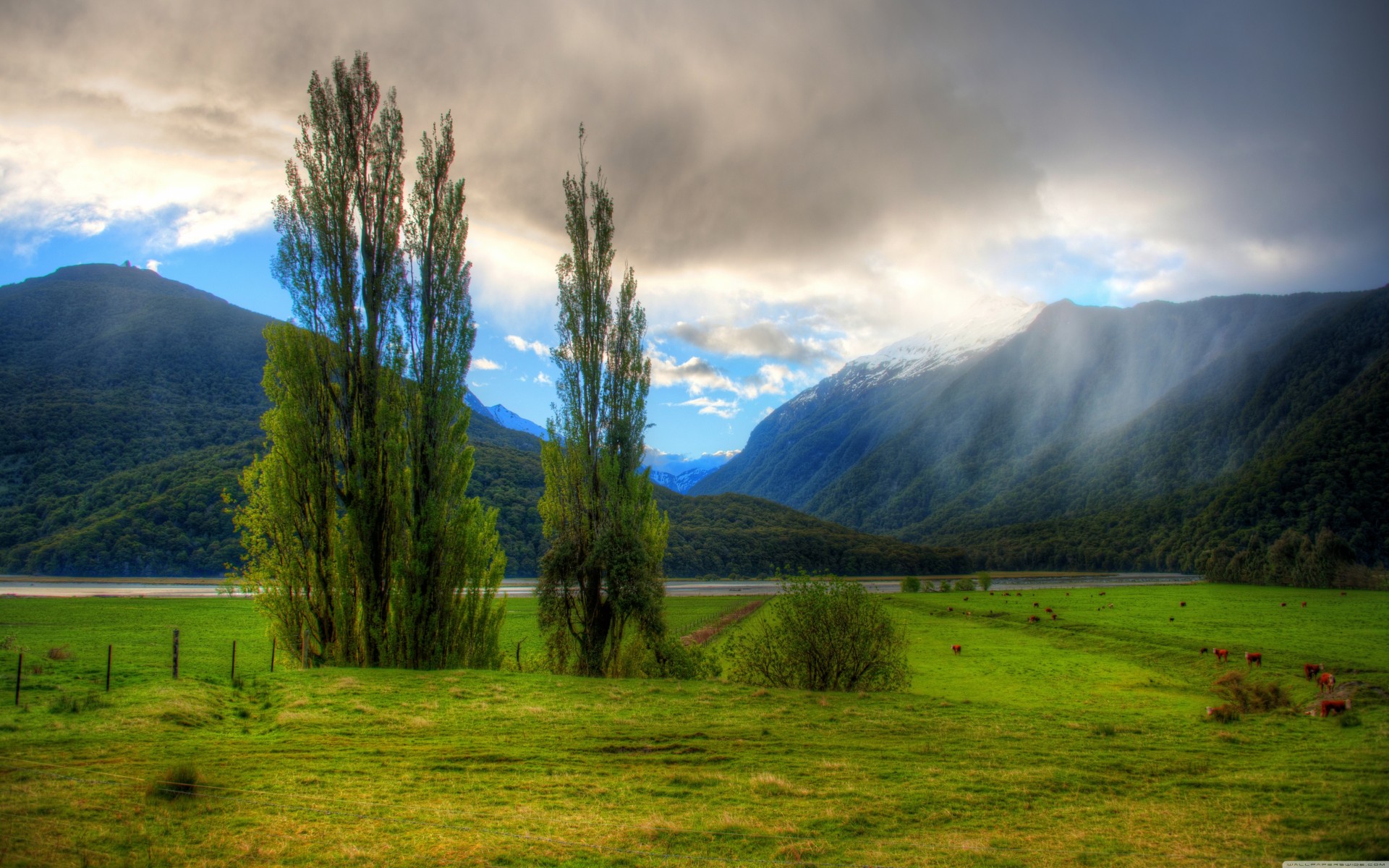 montagnes nuages paysage palmiers herbe gens plaine