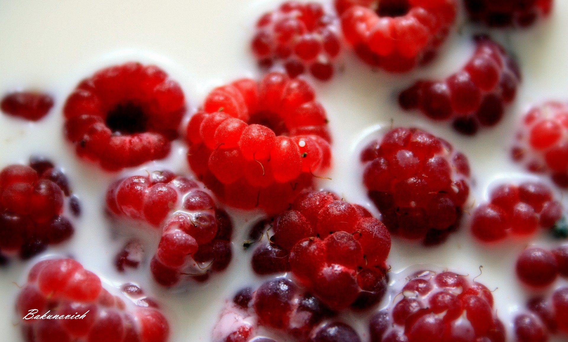 himbeeren milch makro