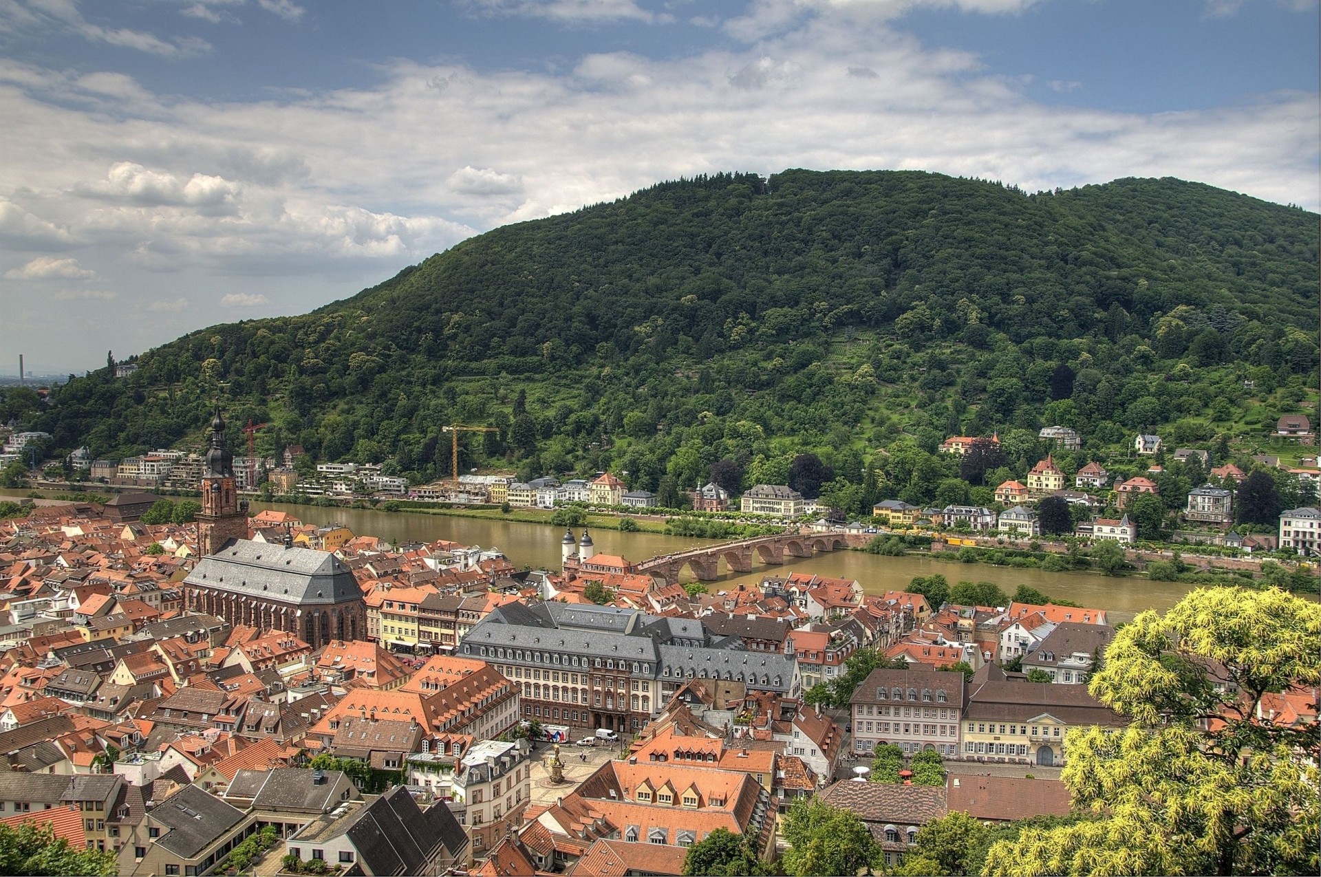 cathédrale paysage rivière heidelberg pont forêt panorama bâtiment allemagne arbres