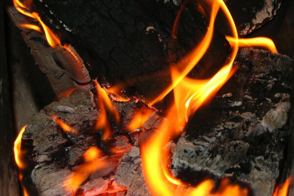 Flammes sur bois