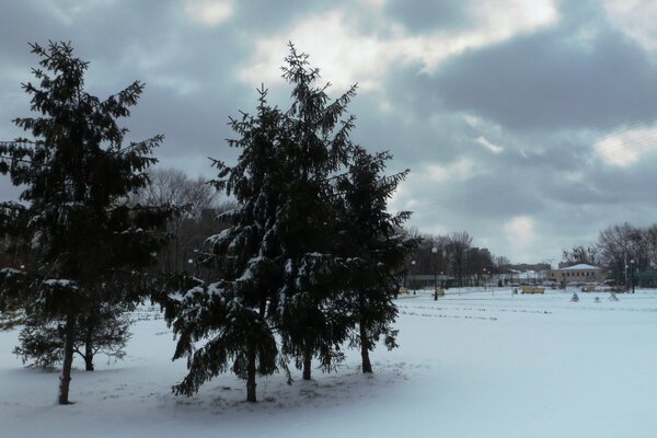 Comer en la nieve a principios de marzo en Kharkov