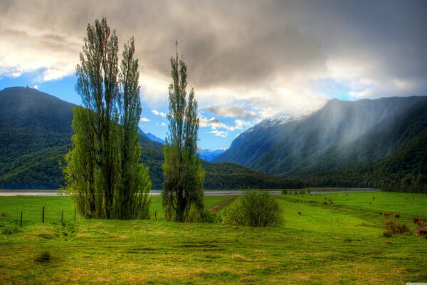 Mountain landscape shrouded in clouds