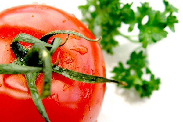 Red tomato with water drops