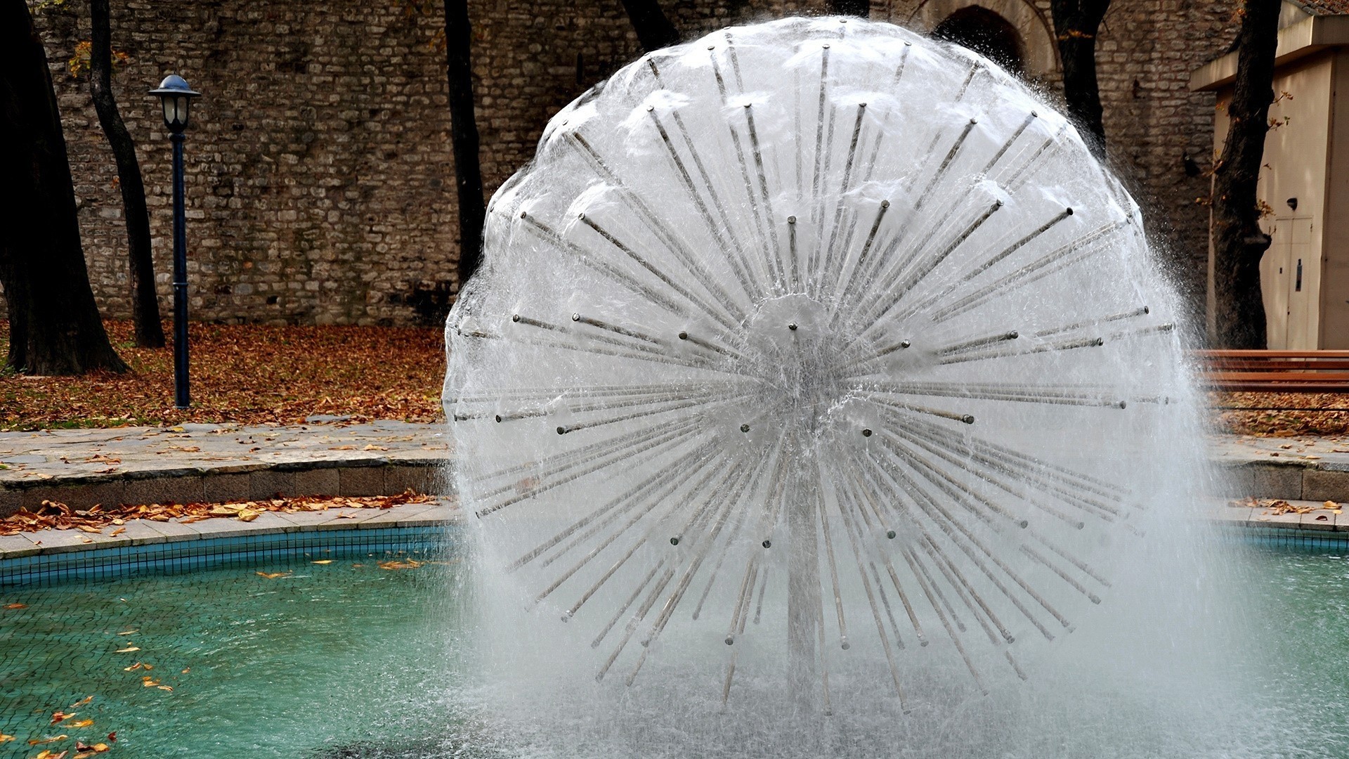 dandelion fountain water close up town