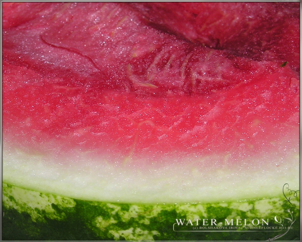 wassermelone fruchtfleisch zucker