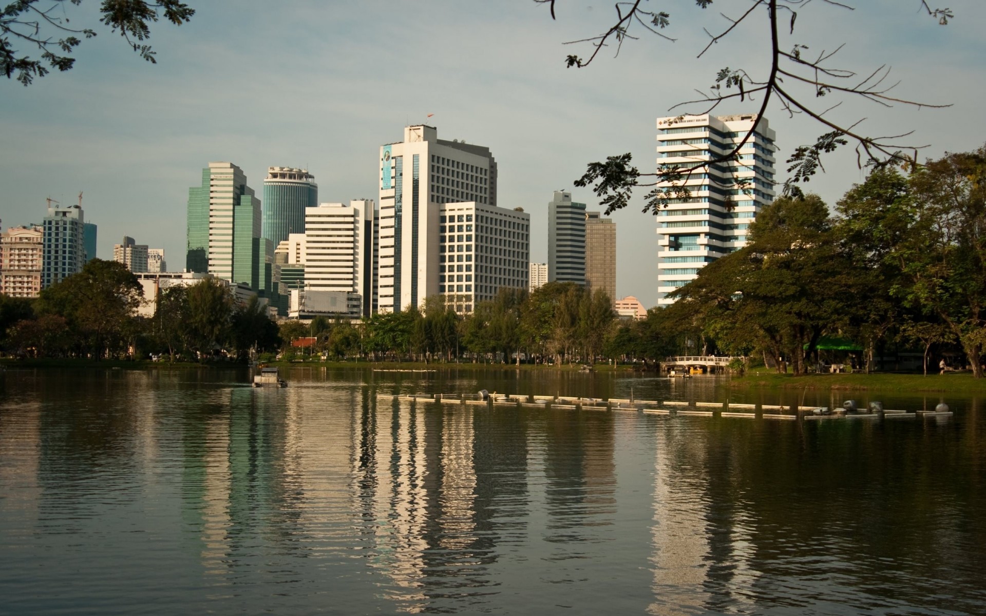 tree park thailand reflection town