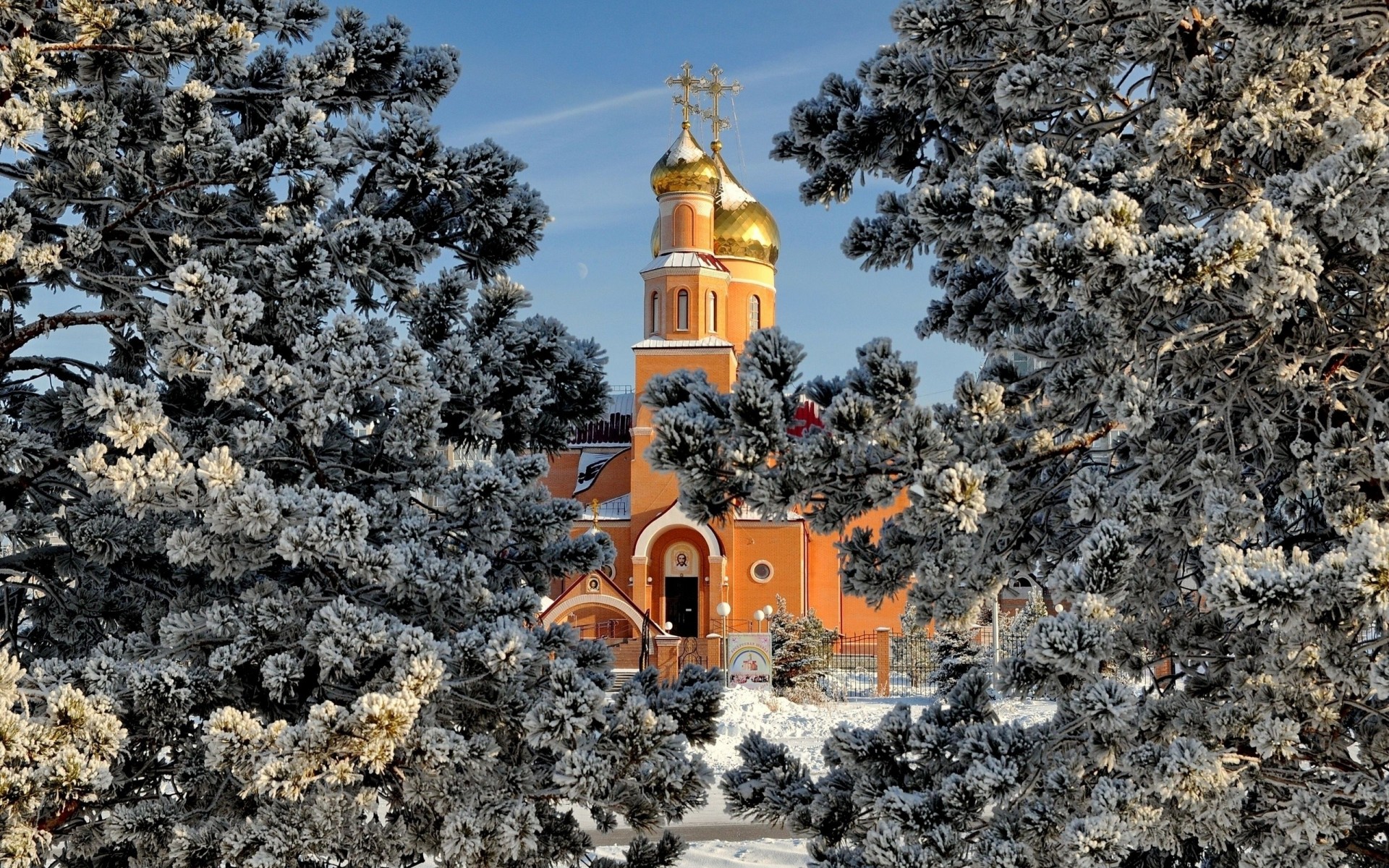 tempel bäume winter