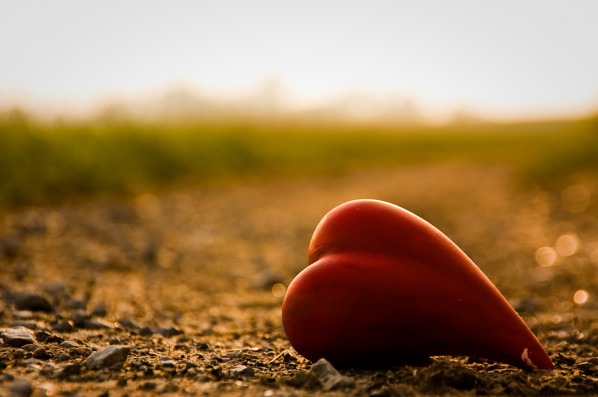 corazón camino verano