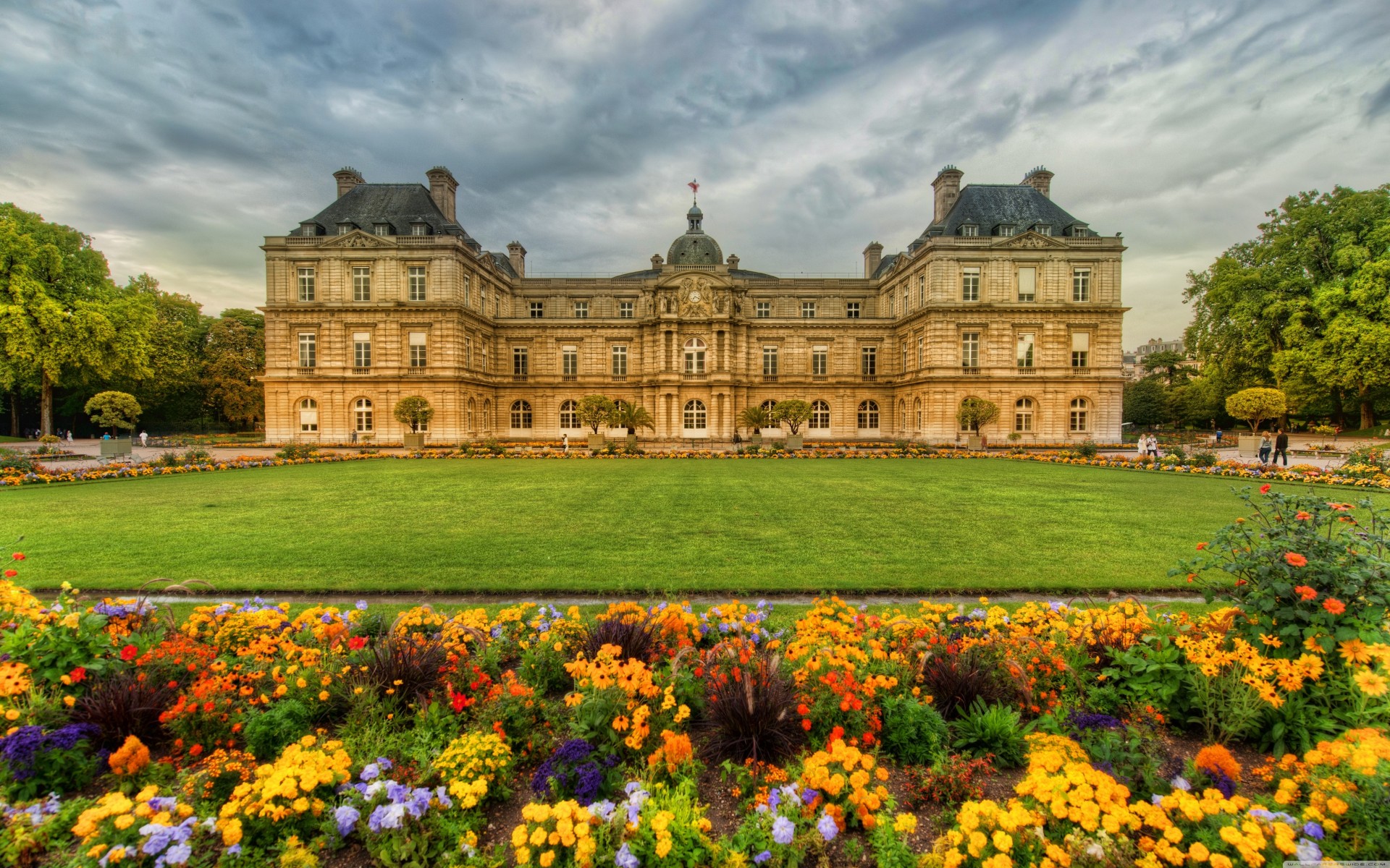 clouds palace qatar airways paris flower supplie