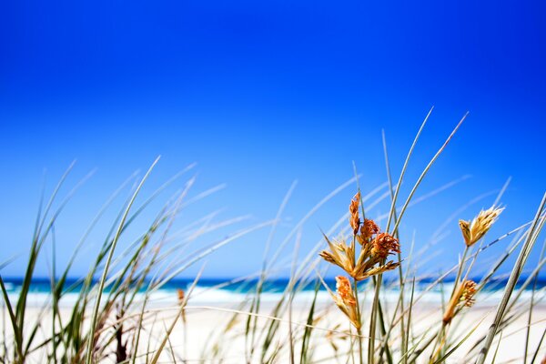 Beautiful beach with blue sky