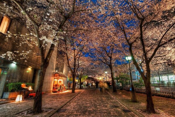 Belle ruelle dans la ville du soir