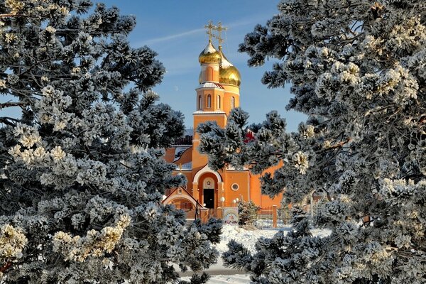 Вид на храм сквозь деревья