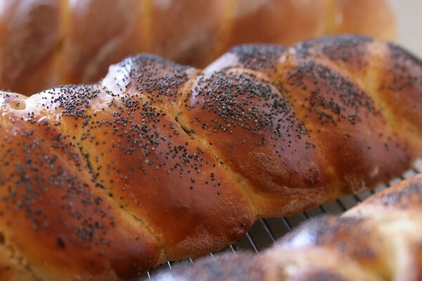 Üppiges süßes Brötchen mit Mohn