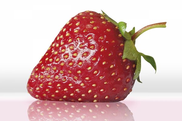 Perfect strawberries on a white background