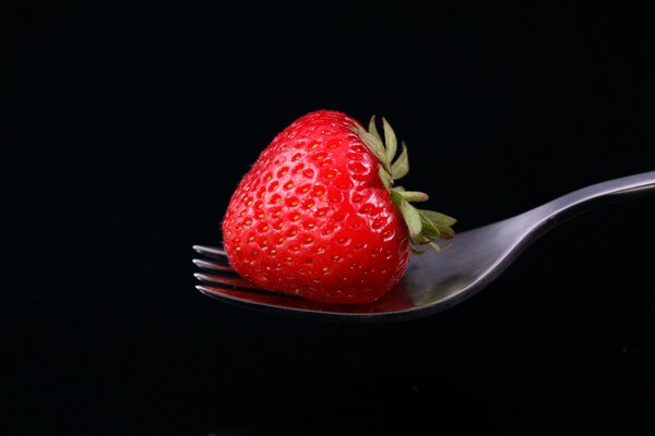 Rote Erdbeeren auf einer Gabel auf schwarzem Hintergrund