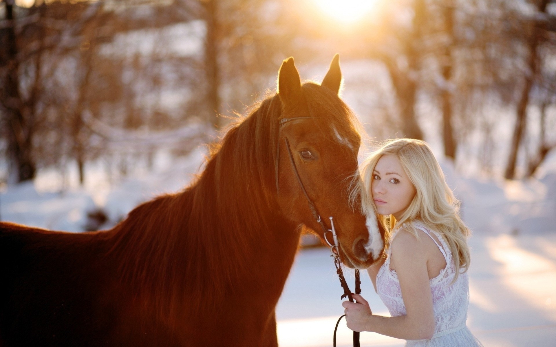 frau schnee mädchen tier pferd blond